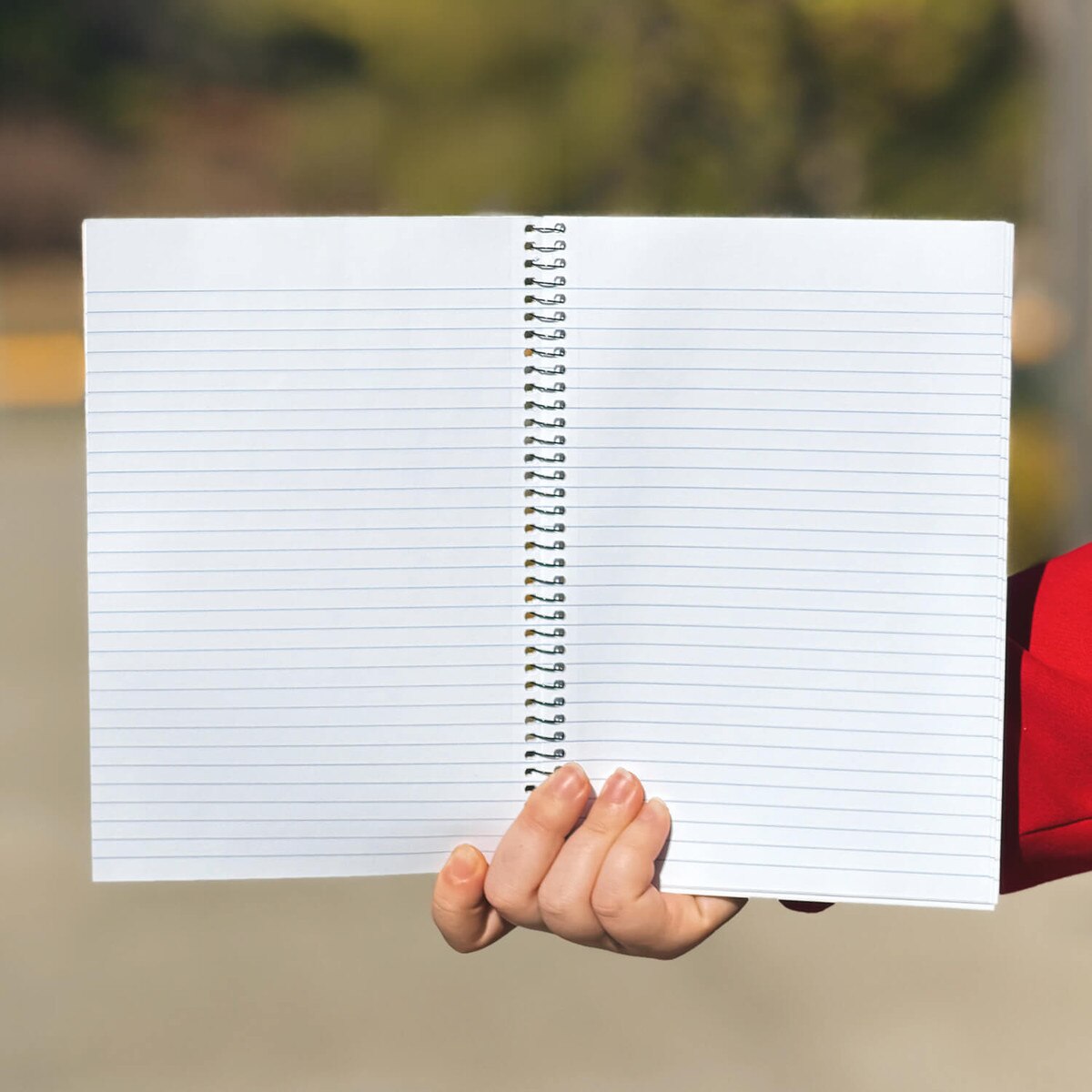 Julia Gash Spiral Journal Notebook (9.5"x6.5")